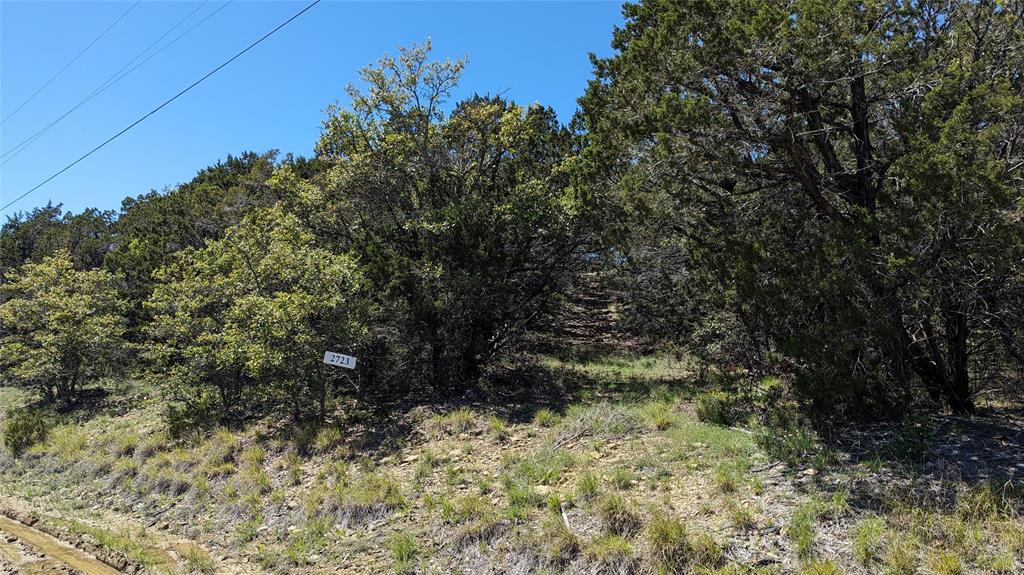 2723 Wind Point Court Property Photo 10