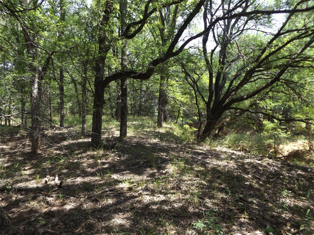 W. 34.1 Hoffman Road Property Photo 3