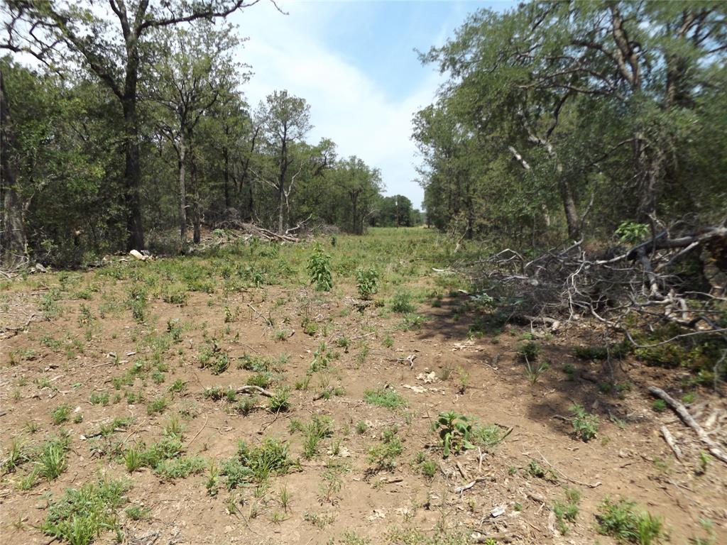 W. 34.1 Hoffman Road Property Photo 4