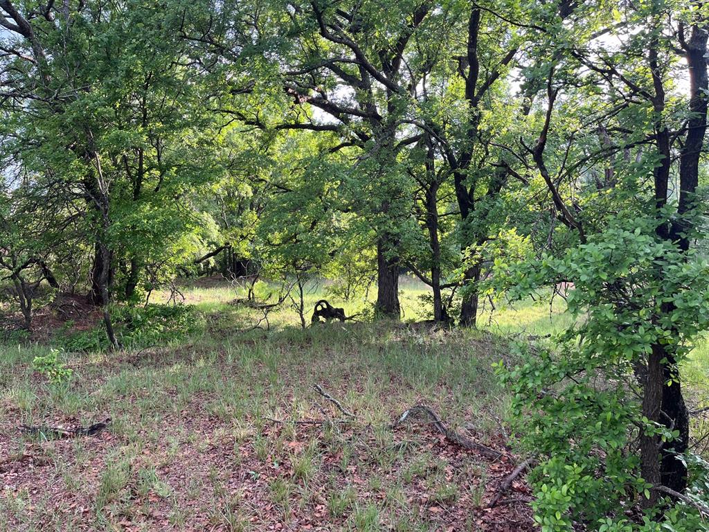W. 34.1 Hoffman Road Property Photo 5