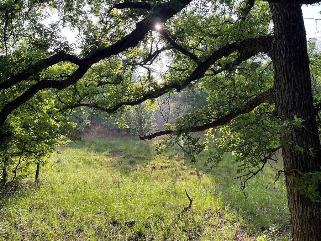 W. 34.1 Hoffman Road Property Photo 6