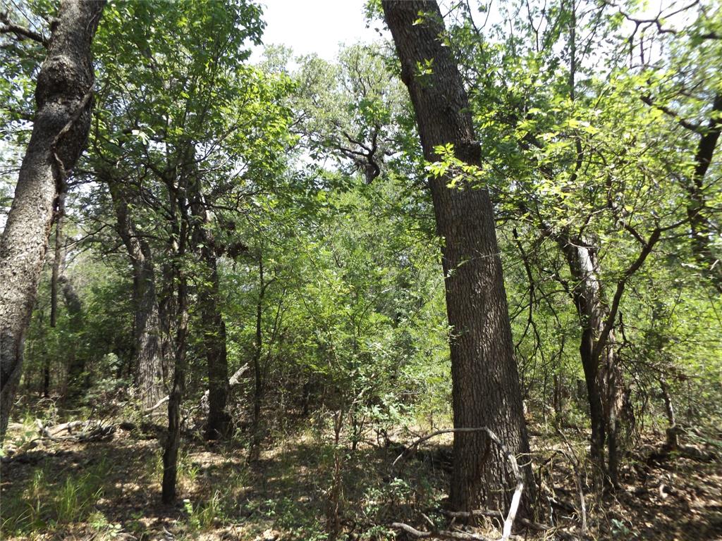 E. 34.1 Hoffman Road Property Photo 6