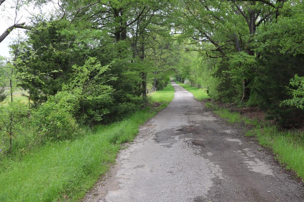 Tbd Rs County Road 2365 Property Photo 4