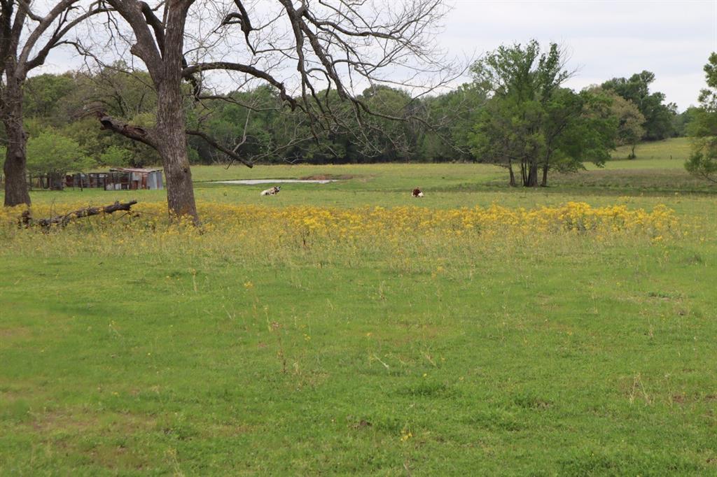 Tbd Rs County Road 2365 Property Photo 5