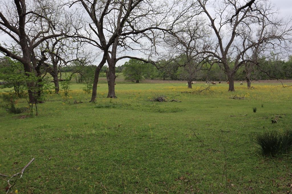 Tbd Rs County Road 2365 Property Photo 6