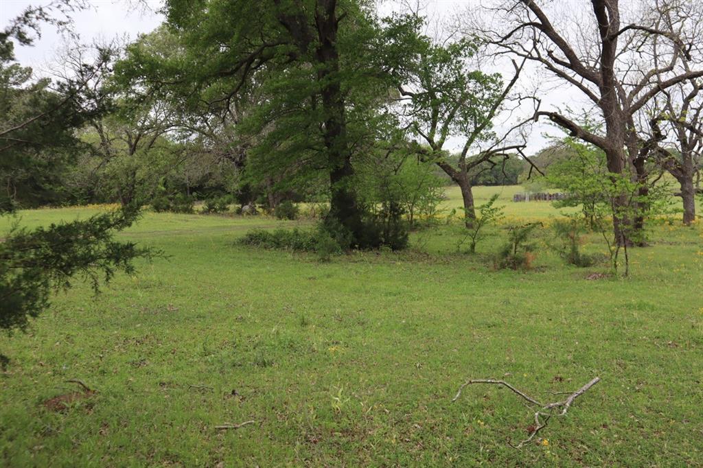 Tbd Rs County Road 2365 Property Photo 7