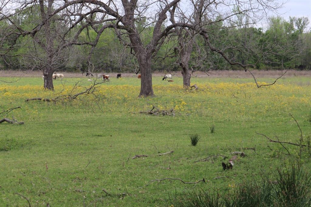 Tbd Rs County Road 2365 Property Photo 8