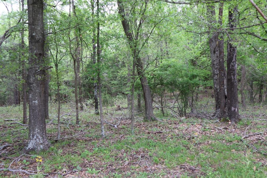 Tbd Rs County Road 2365 Property Photo 9