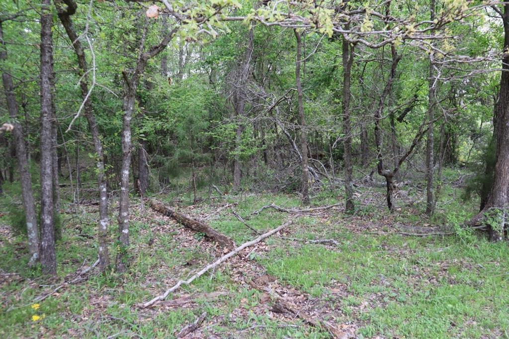 Tbd Rs County Road 2365 Property Photo 10