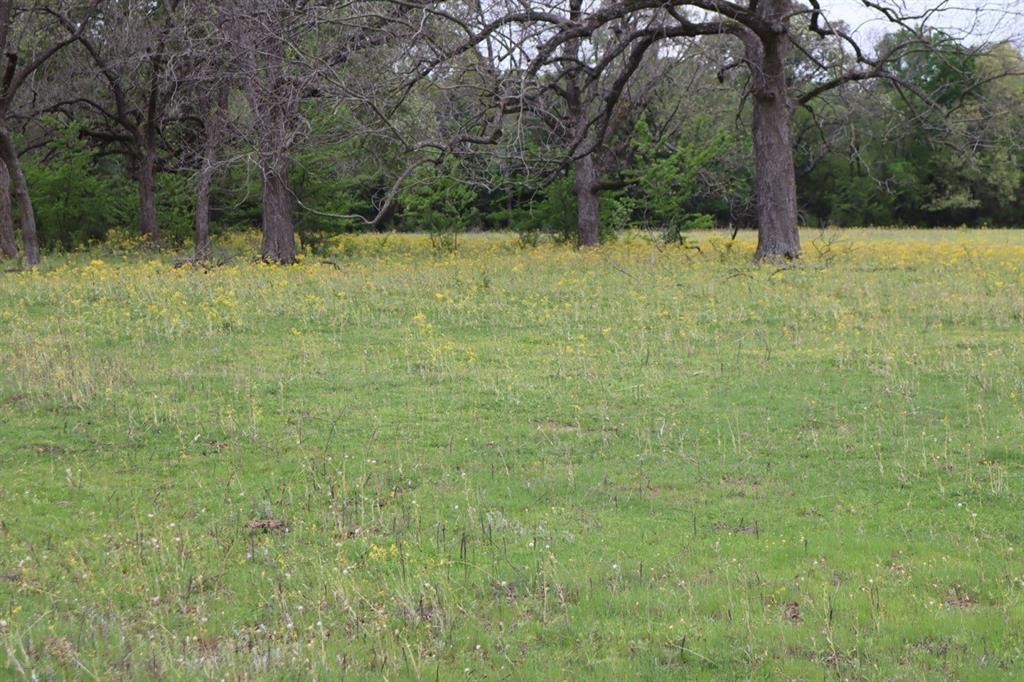 Tbd Rs County Road 2365 Property Photo 11