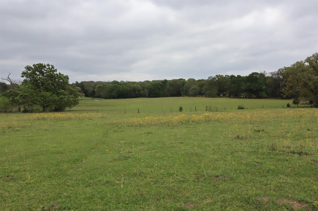 Tbd Rs County Road 2365 Property Photo 14