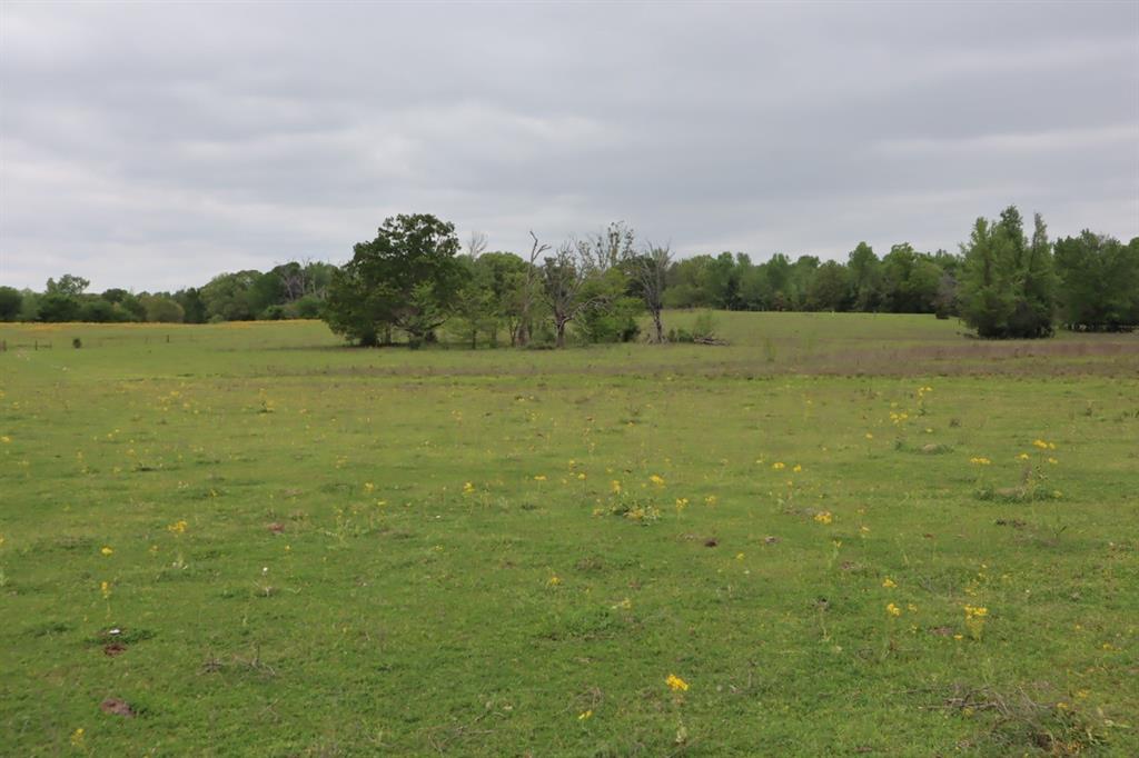 Tbd Rs County Road 2365 Property Photo 15