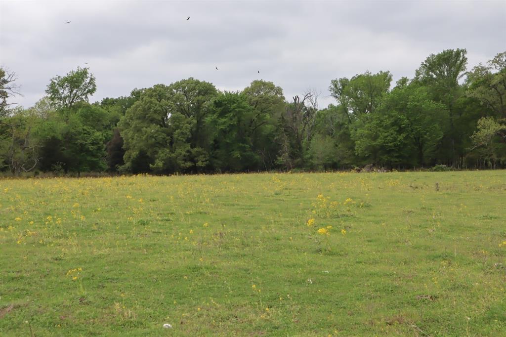 Tbd Rs County Road 2365 Property Photo 16