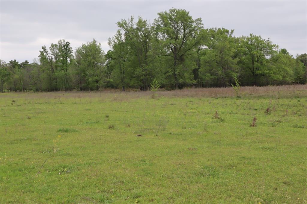 Tbd Rs County Road 2365 Property Photo 17