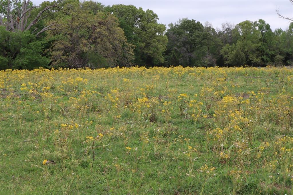 Tbd Rs County Road 2365 Property Photo 18