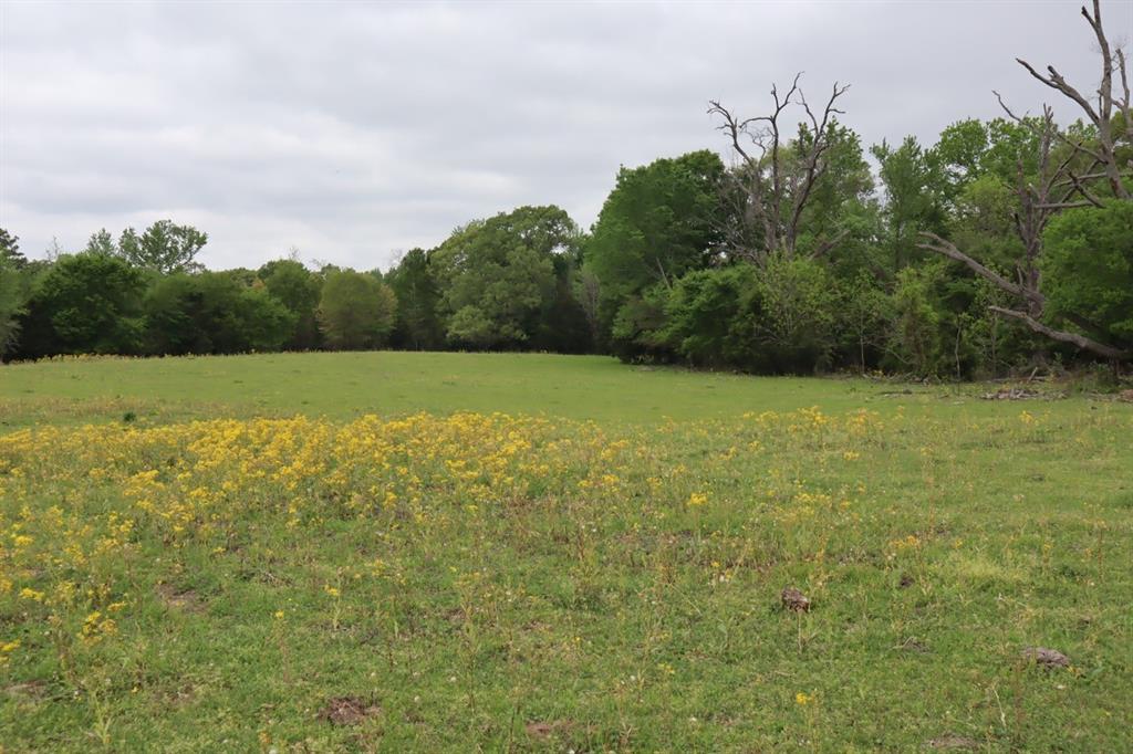 Tbd Rs County Road 2365 Property Photo 19