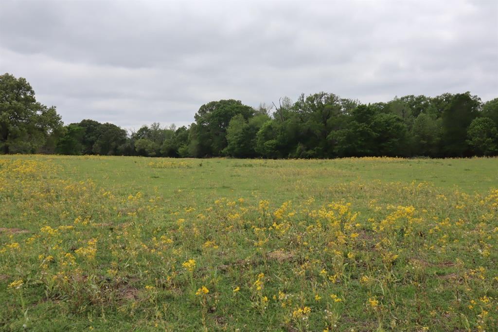 Tbd Rs County Road 2365 Property Photo 20