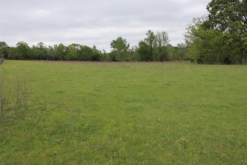 Tbd Rs County Road 2365 Property Photo 21