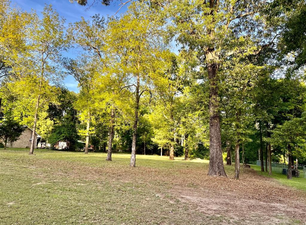 212 N Lexington Property Photo