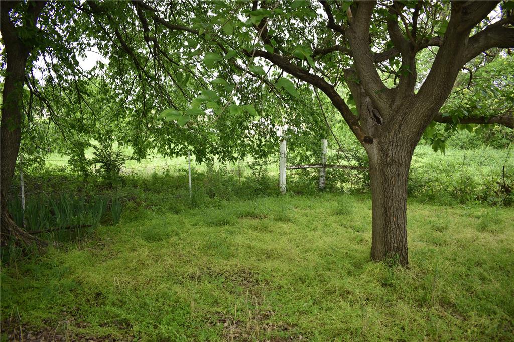 3094 Fm 428 Property Photo 21