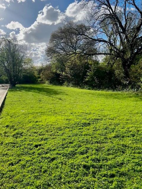 101 Methodist Way Property Photo 4