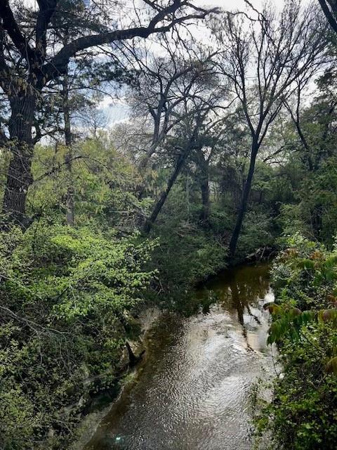 101 Methodist Way Property Photo 6