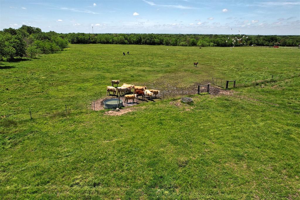 12393 Fm 1392 Property Photo 37