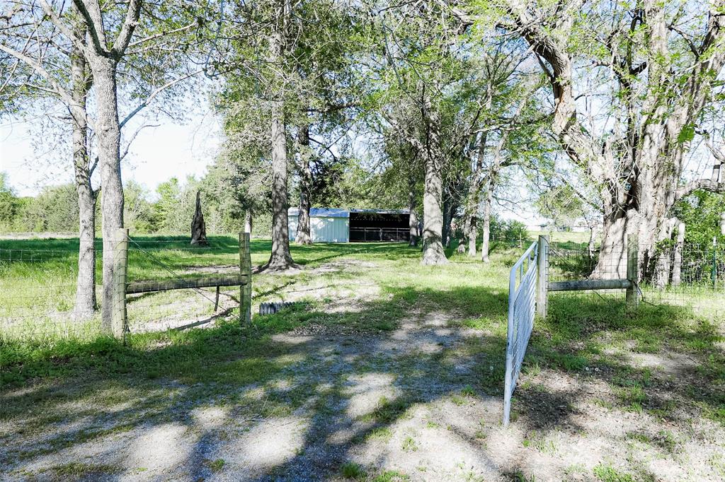 679 County Road 1465 Property Photo 13