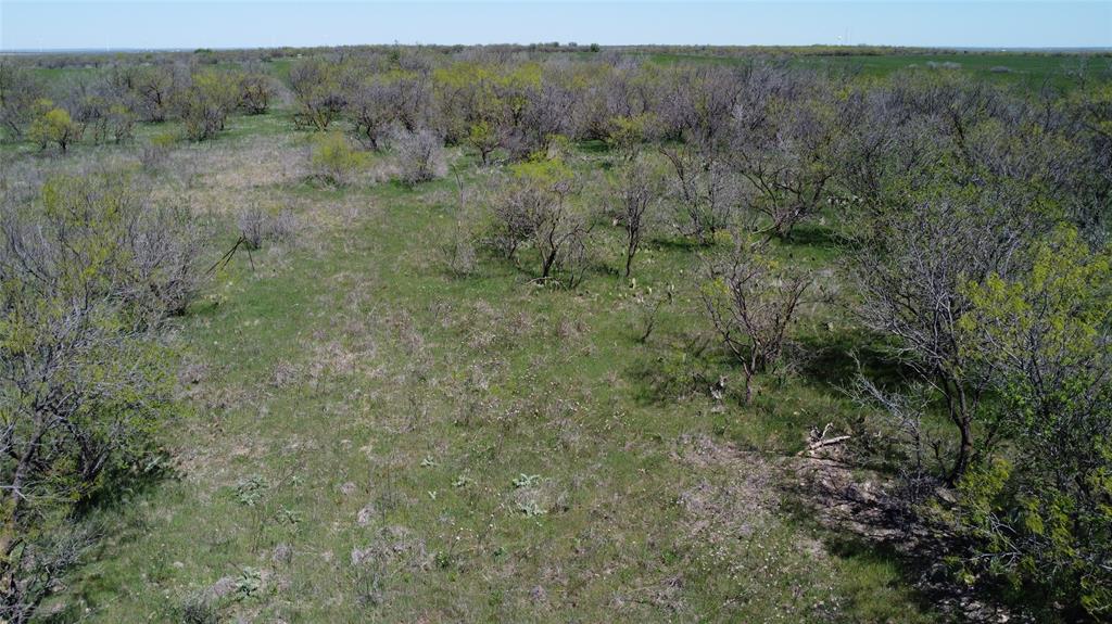 0000 Fm 923 Property Photo 9