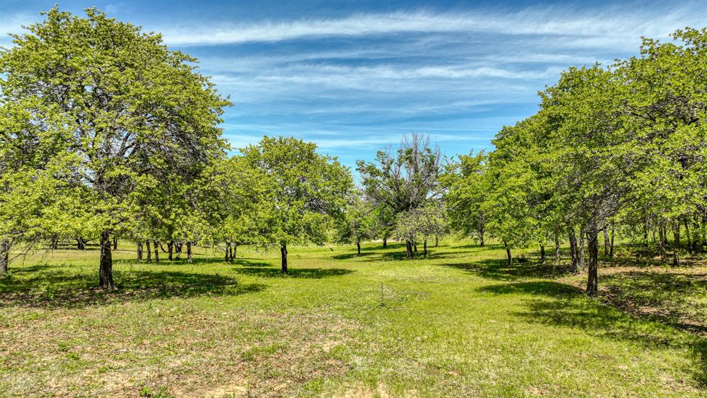 2031 Shadle Road Property Photo 9