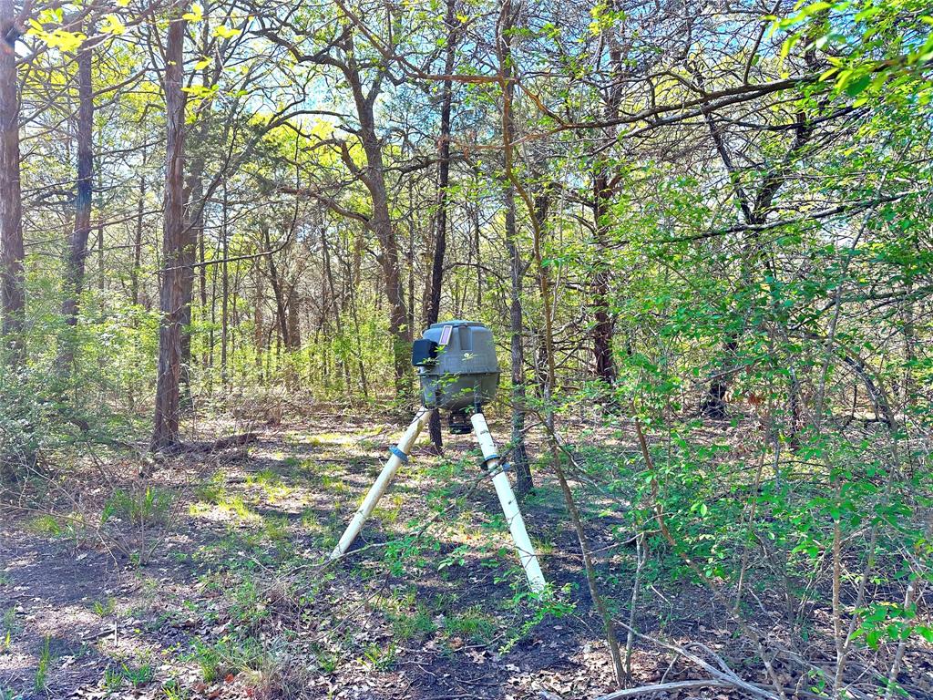 000 Sw 3070 Road Property Photo 15