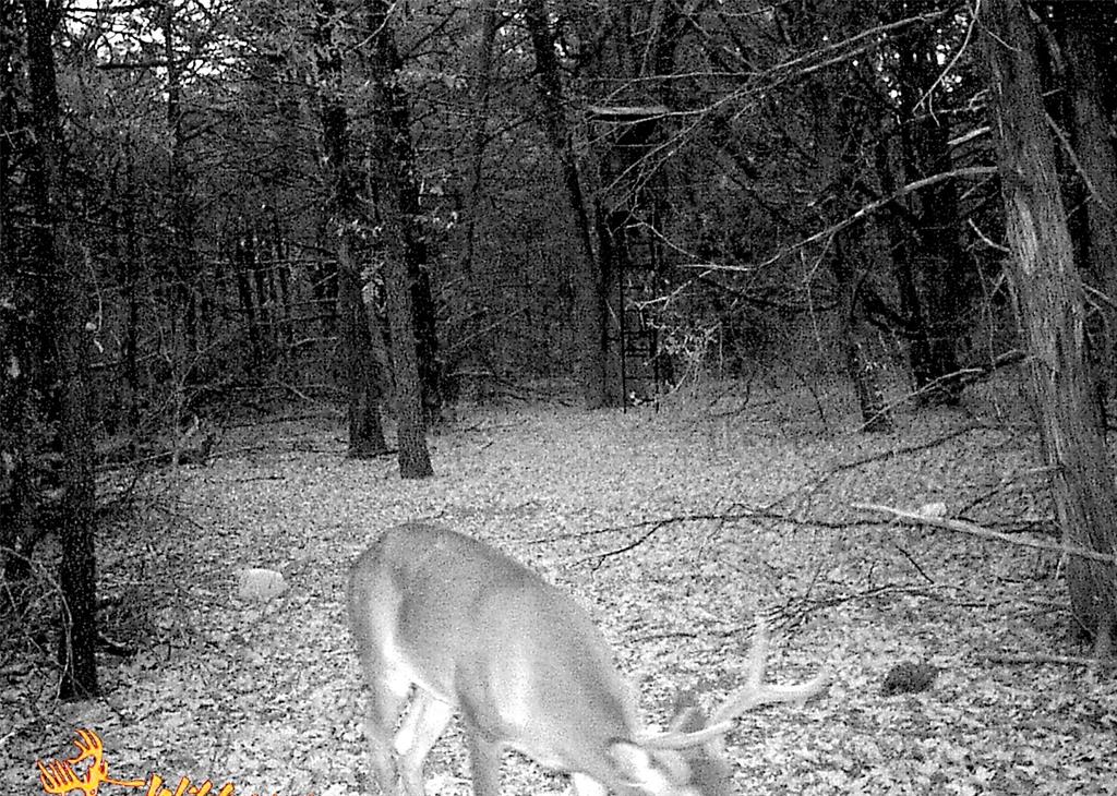 000 Sw 3070 Road Property Photo 19