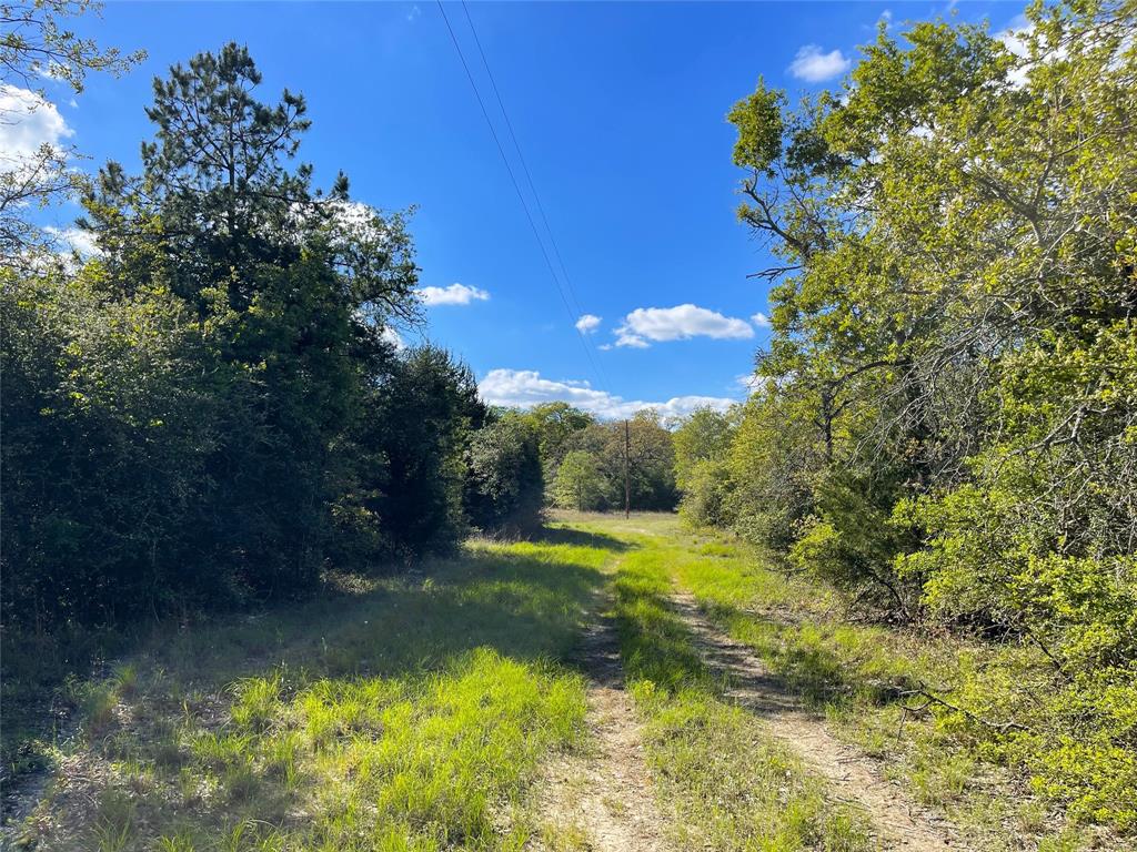 Tbd Pr 359 Property Photo 14