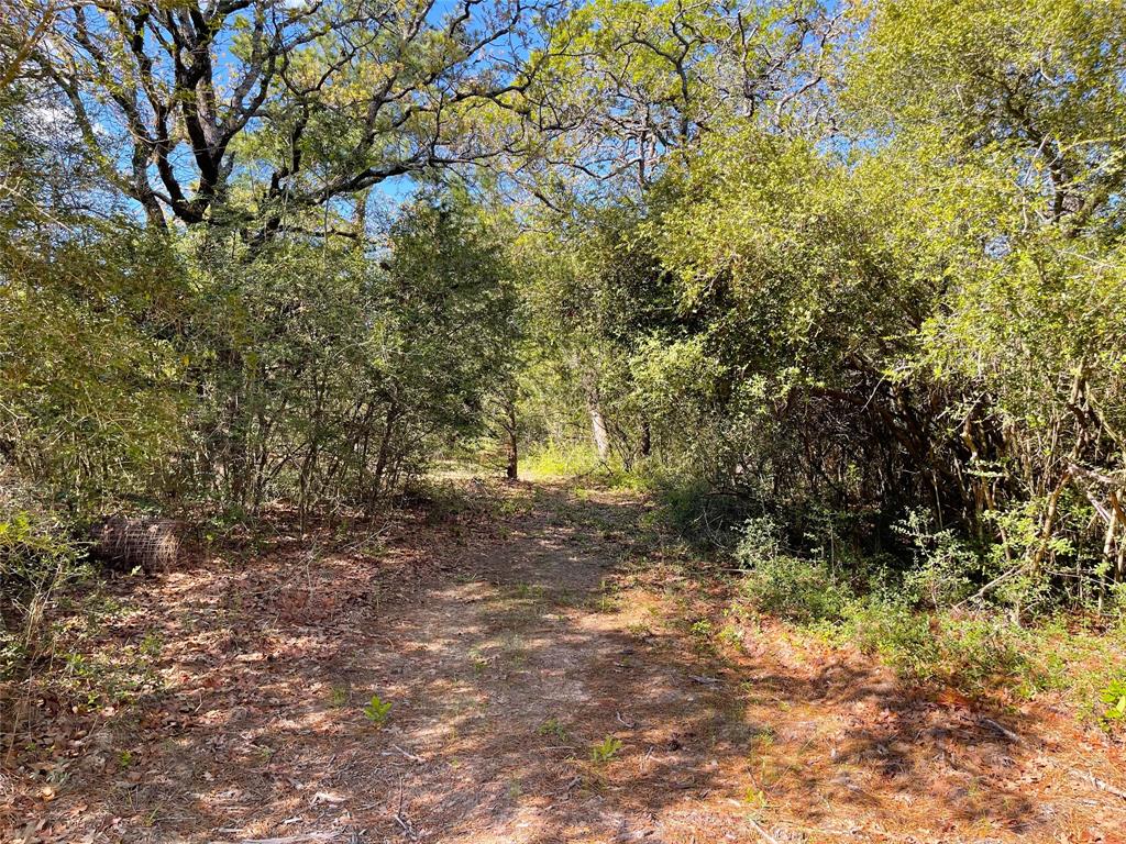 Tbd Pr 359 Property Photo 16