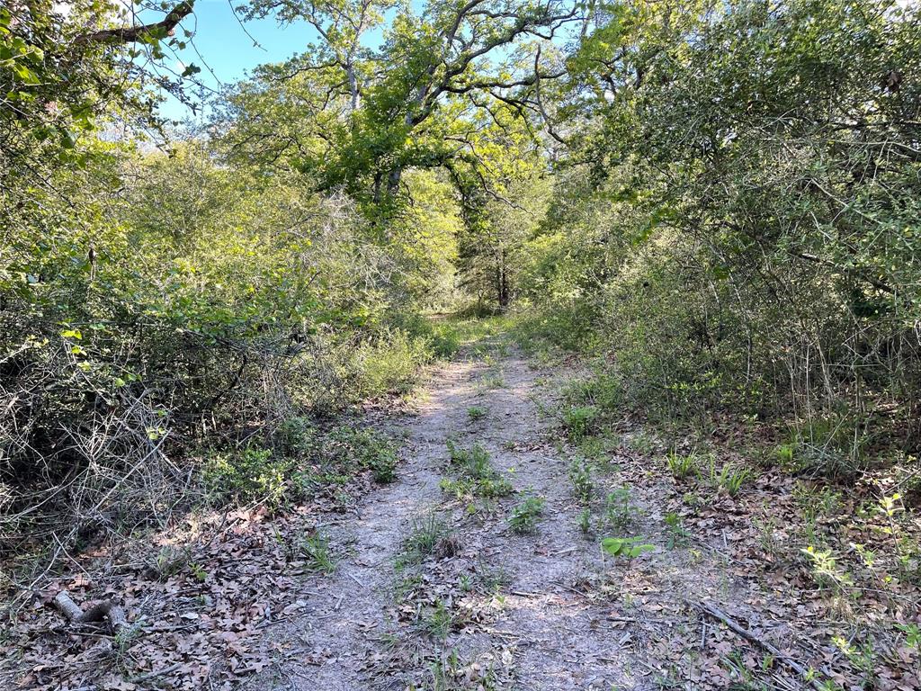 Tbd Pr 359 Property Photo 20