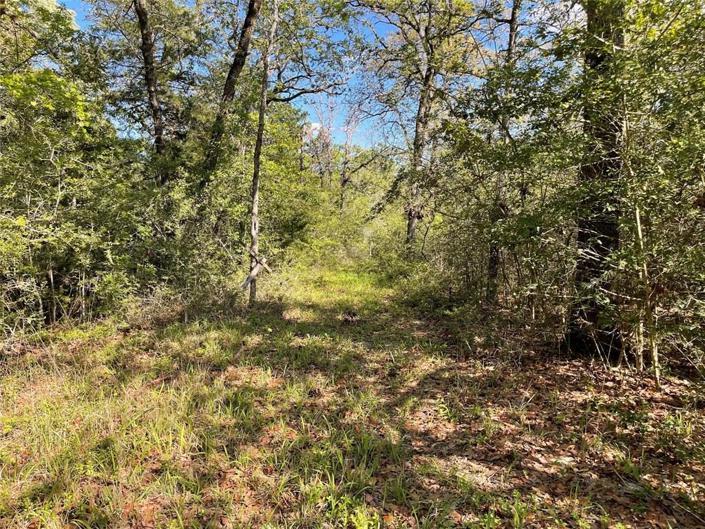 Tbd Pr 359 Property Photo 21
