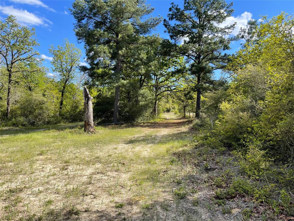 Tbd Pr 359 Property Photo 23