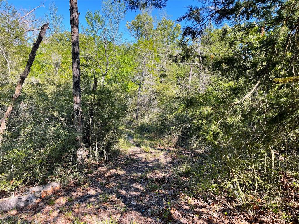 Tbd Pr 359 Property Photo 24