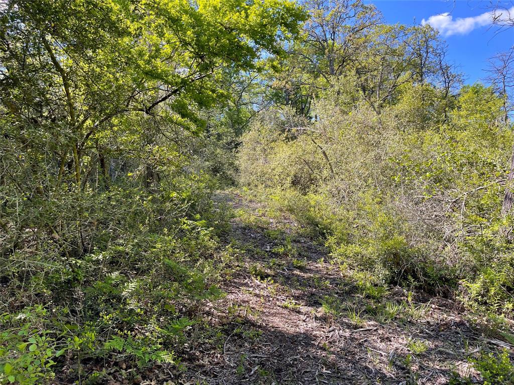 Tbd Pr 359 Property Photo 26