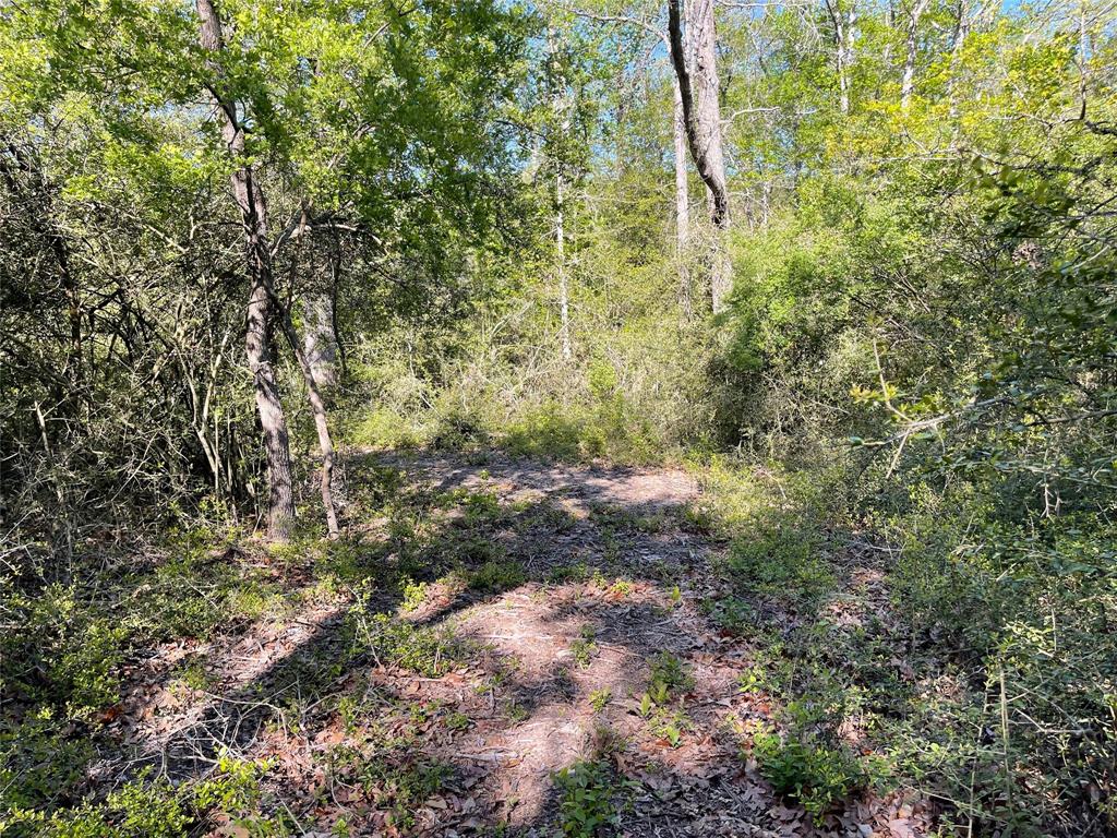 Tbd Pr 359 Property Photo 28