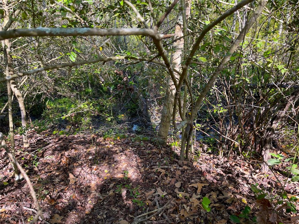 Tbd Pr 359 Property Photo 30