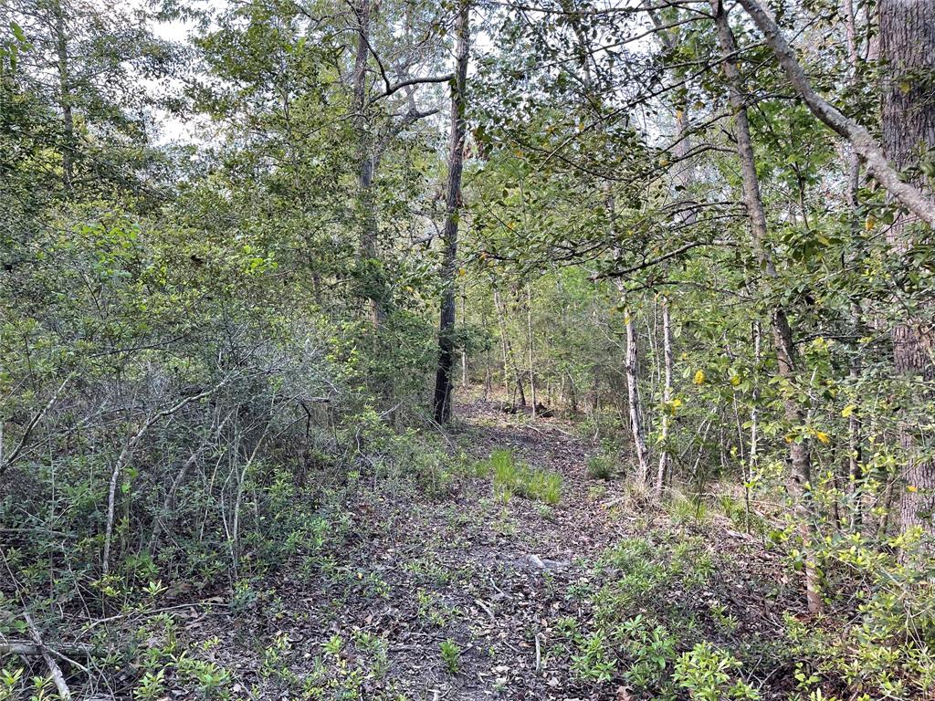 Tbd Pr 359 Property Photo 32