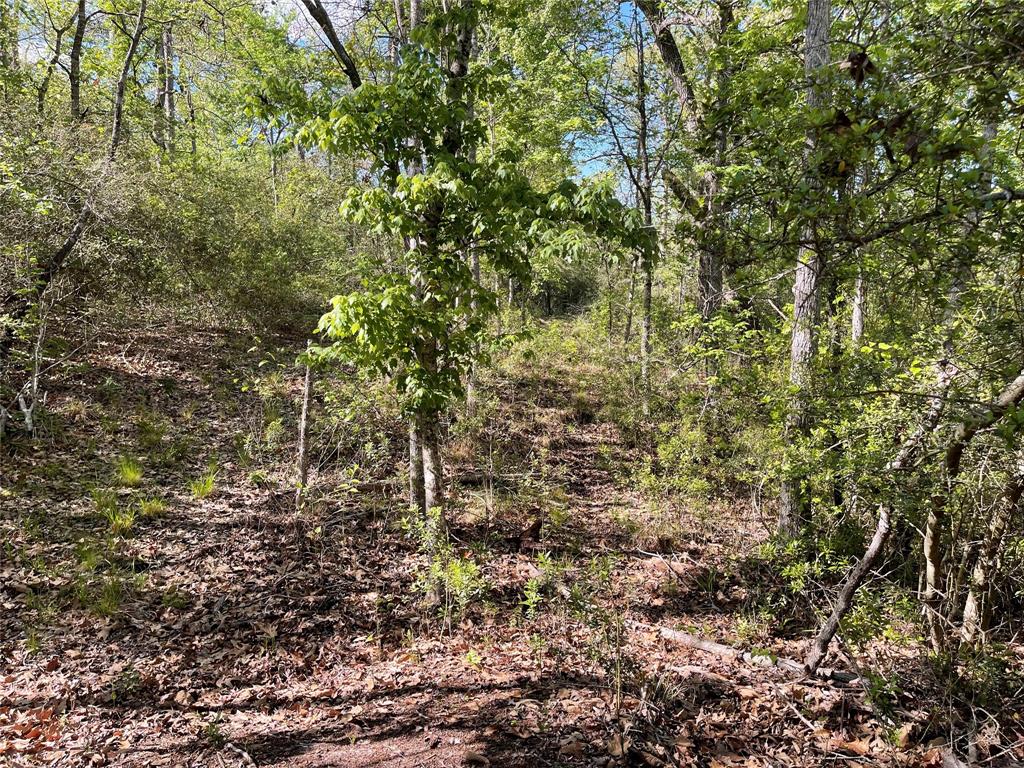 Tbd Pr 359 Property Photo 33