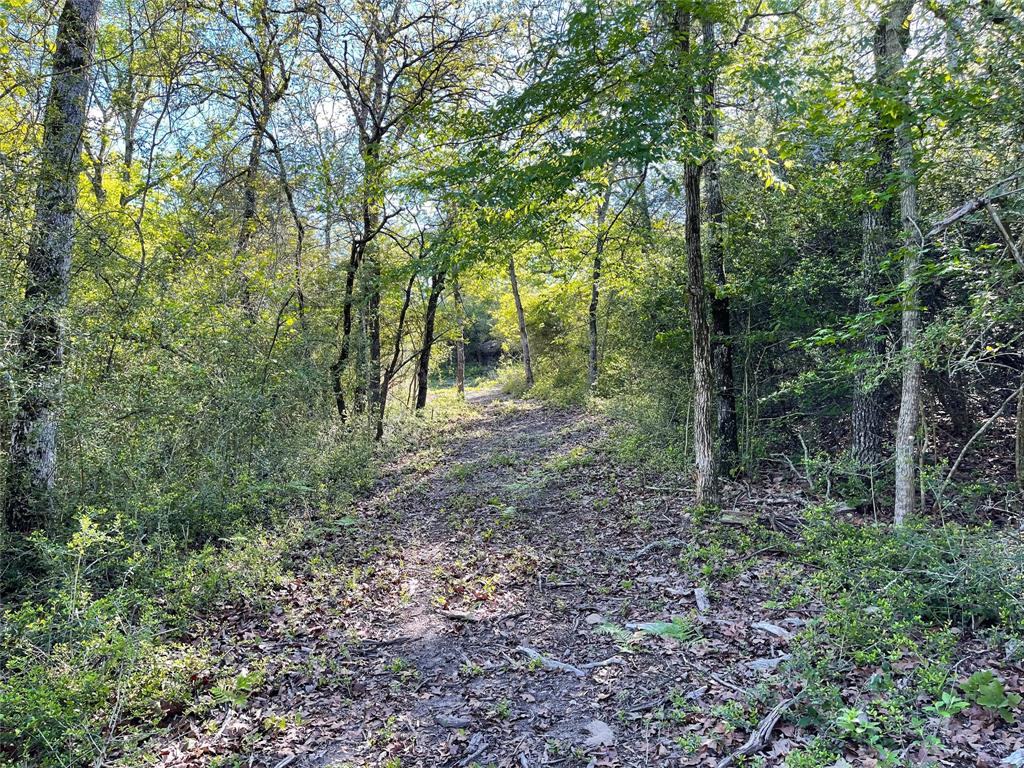 Tbd Pr 359 Property Photo 35