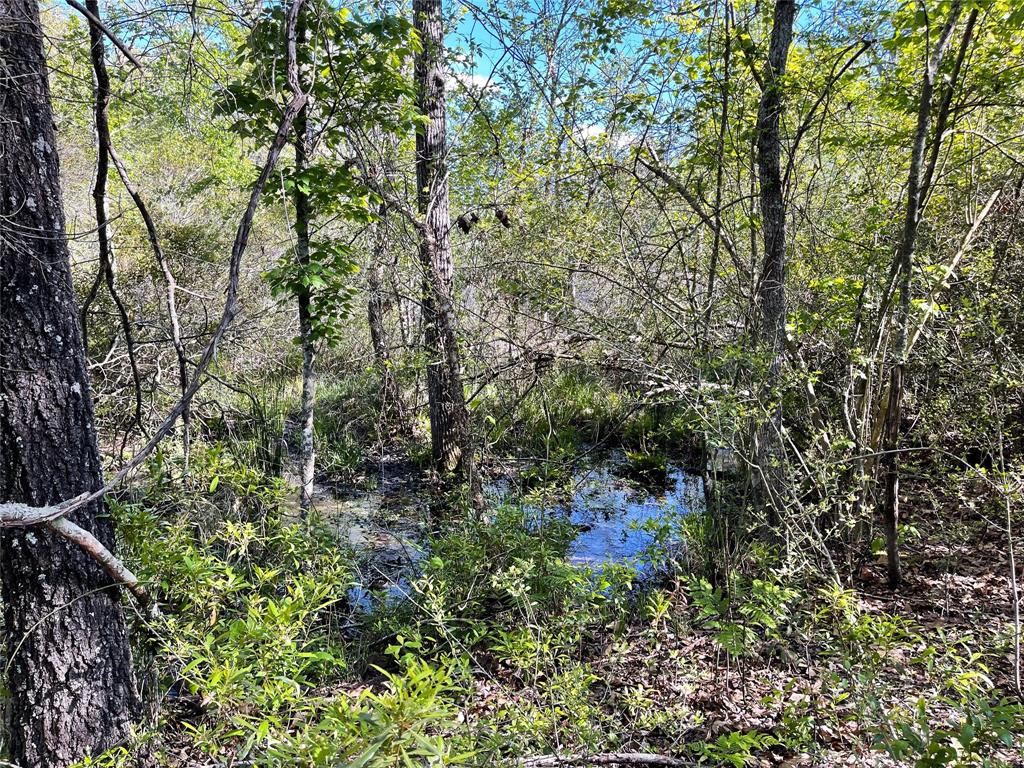 Tbd Pr 359 Property Photo 36