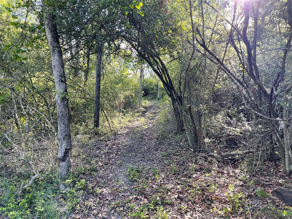 Tbd Pr 359 Property Photo 37