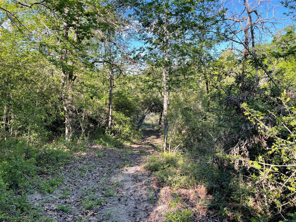 Tbd Pr 359 Property Photo 39