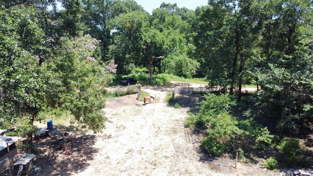 1148 Spring Valley Property Photo 6