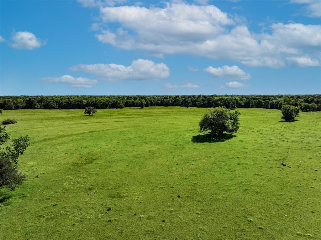 Tbd County Road 3560 Property Photo 3