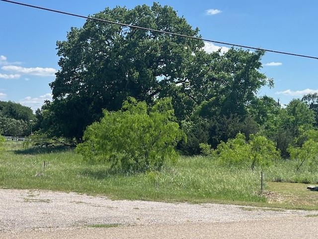 17059 Trailwood Drive Property Photo 2